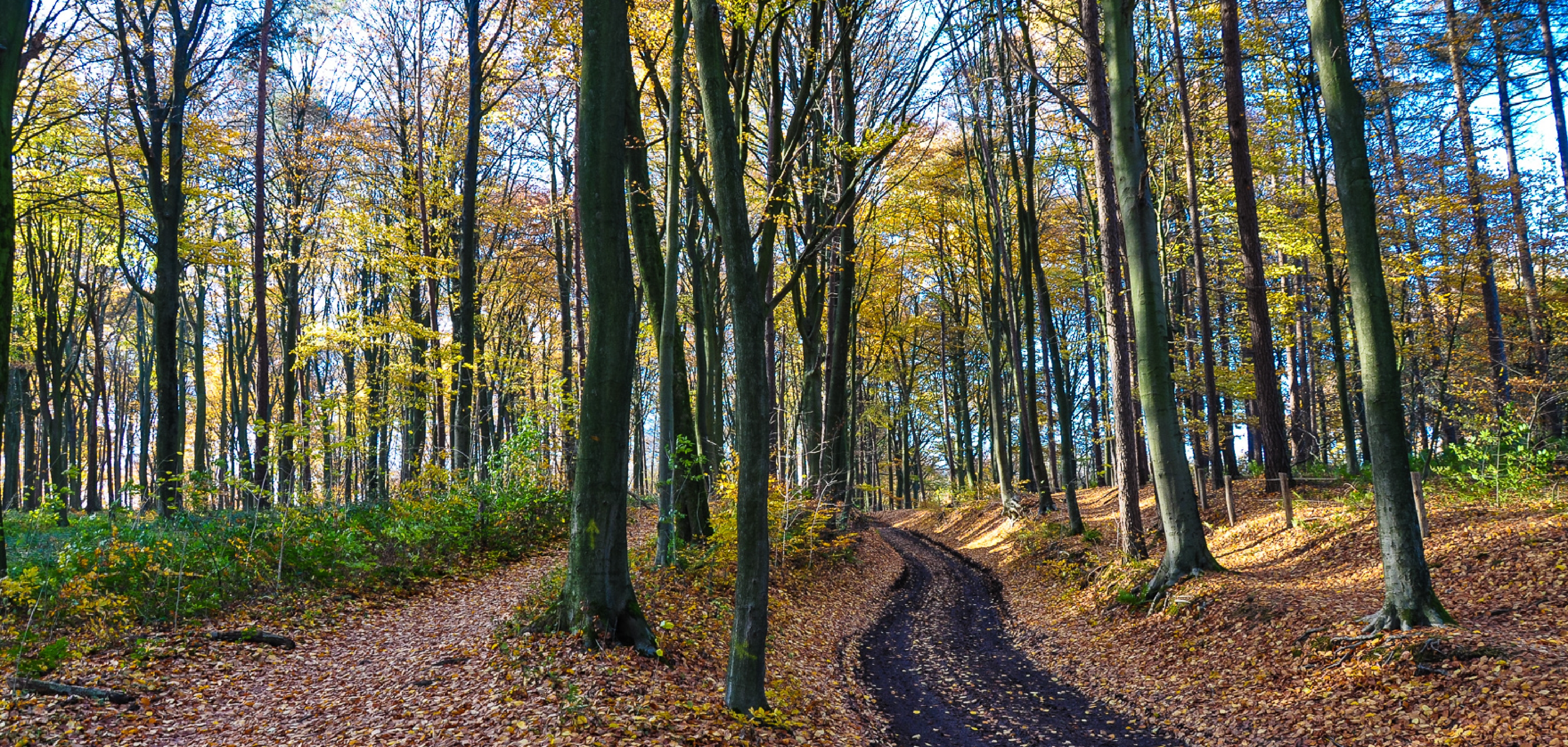 Excursion à VTT dans la région de Flandre orientale, au Kluisbergen