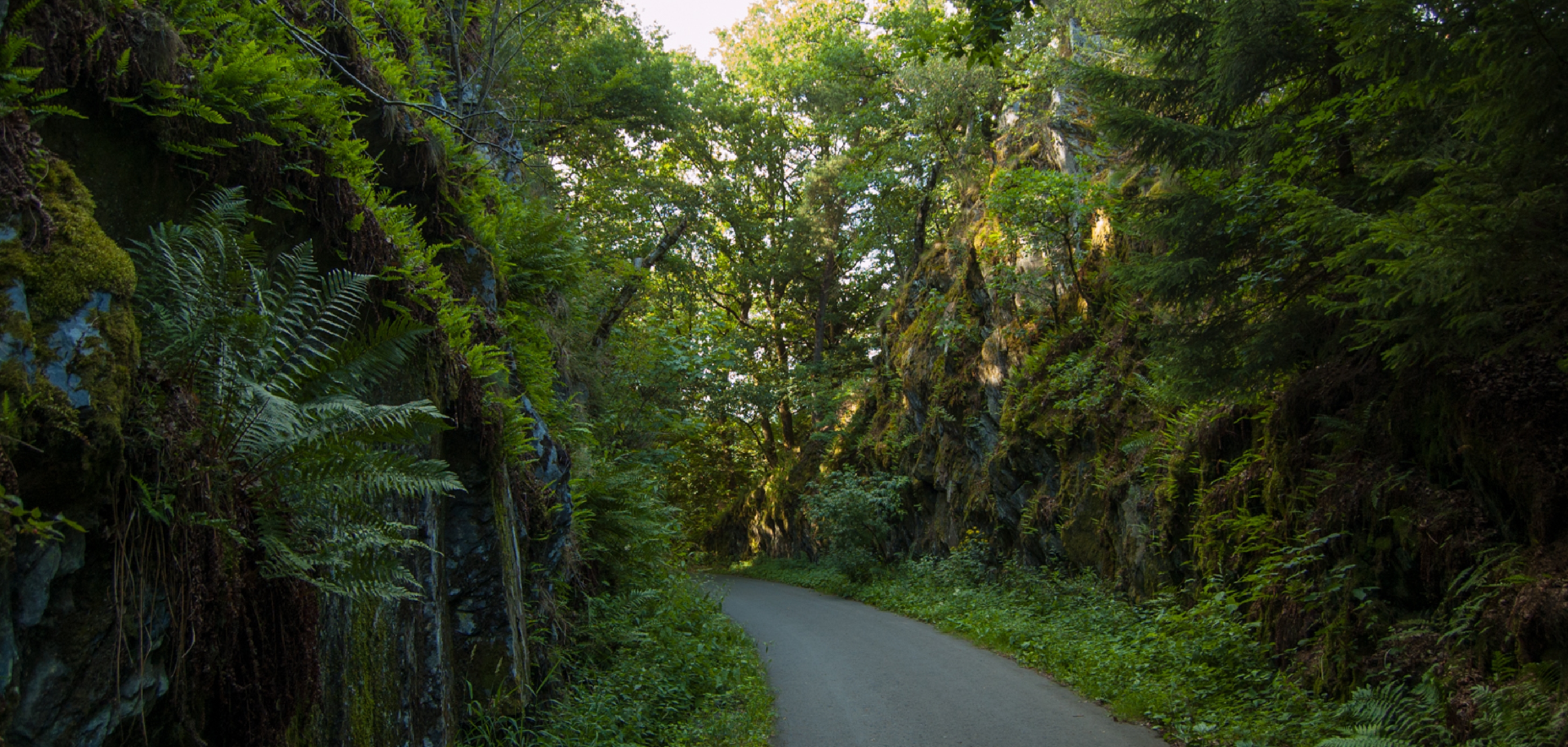 Excursion à VTT à Houffalize, en province de Luxembourg