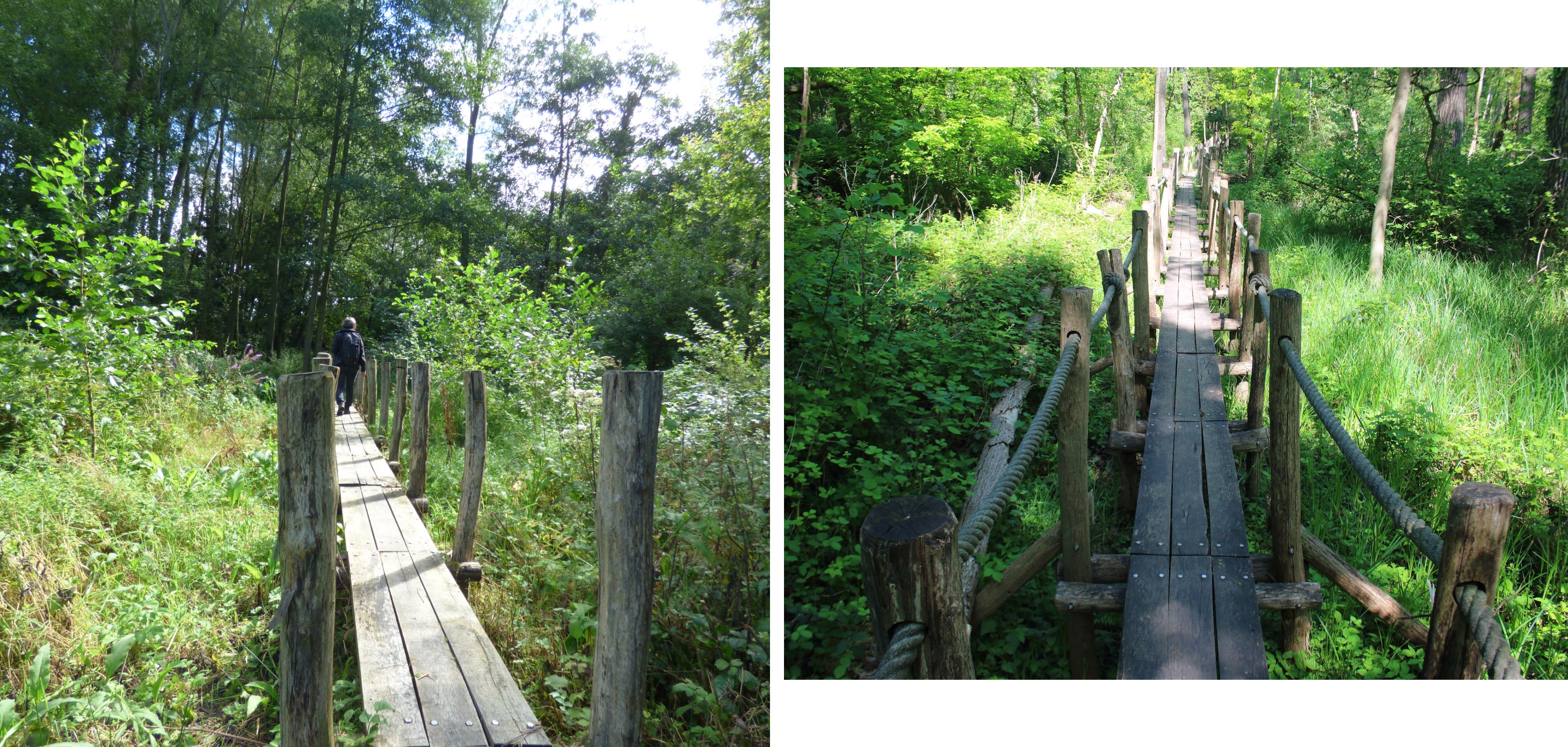 Balade sur un sentier sur pilotis à Lede