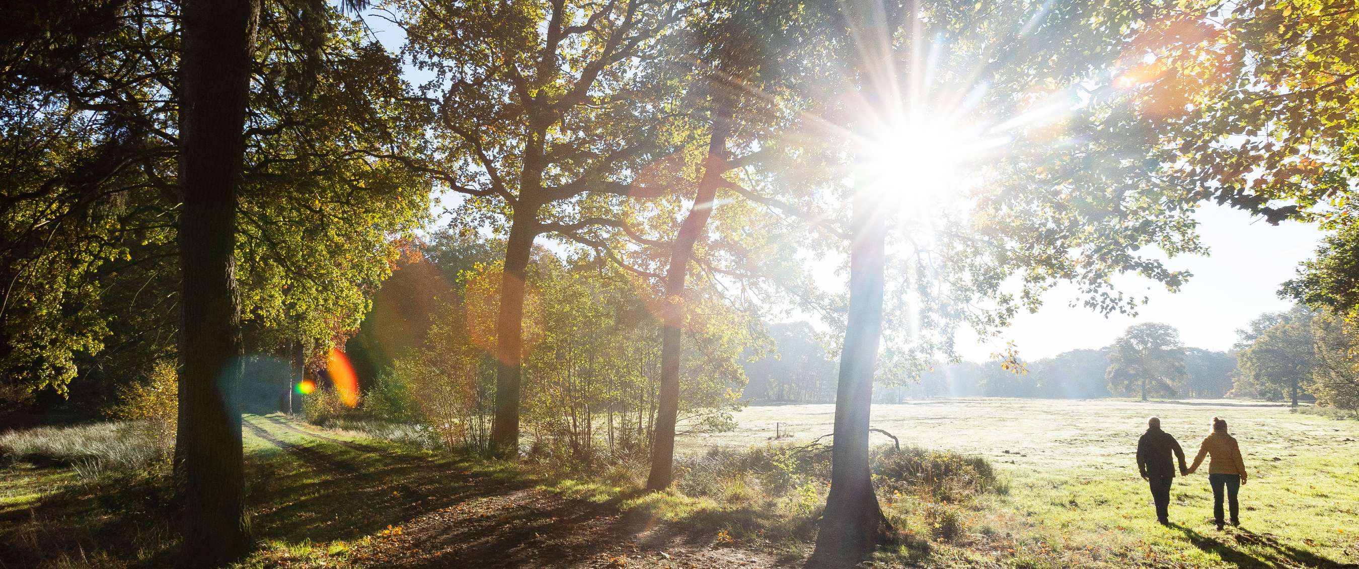 Nationaal Park Bosland