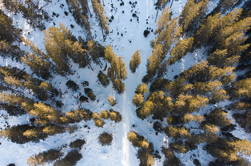 Activités pour profiter des plaisirs de la neige