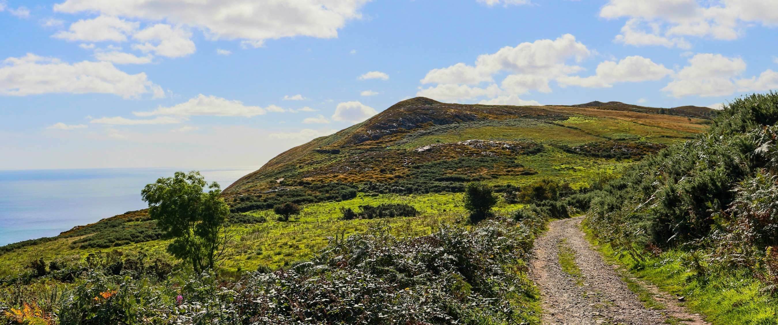 Wicklow Way