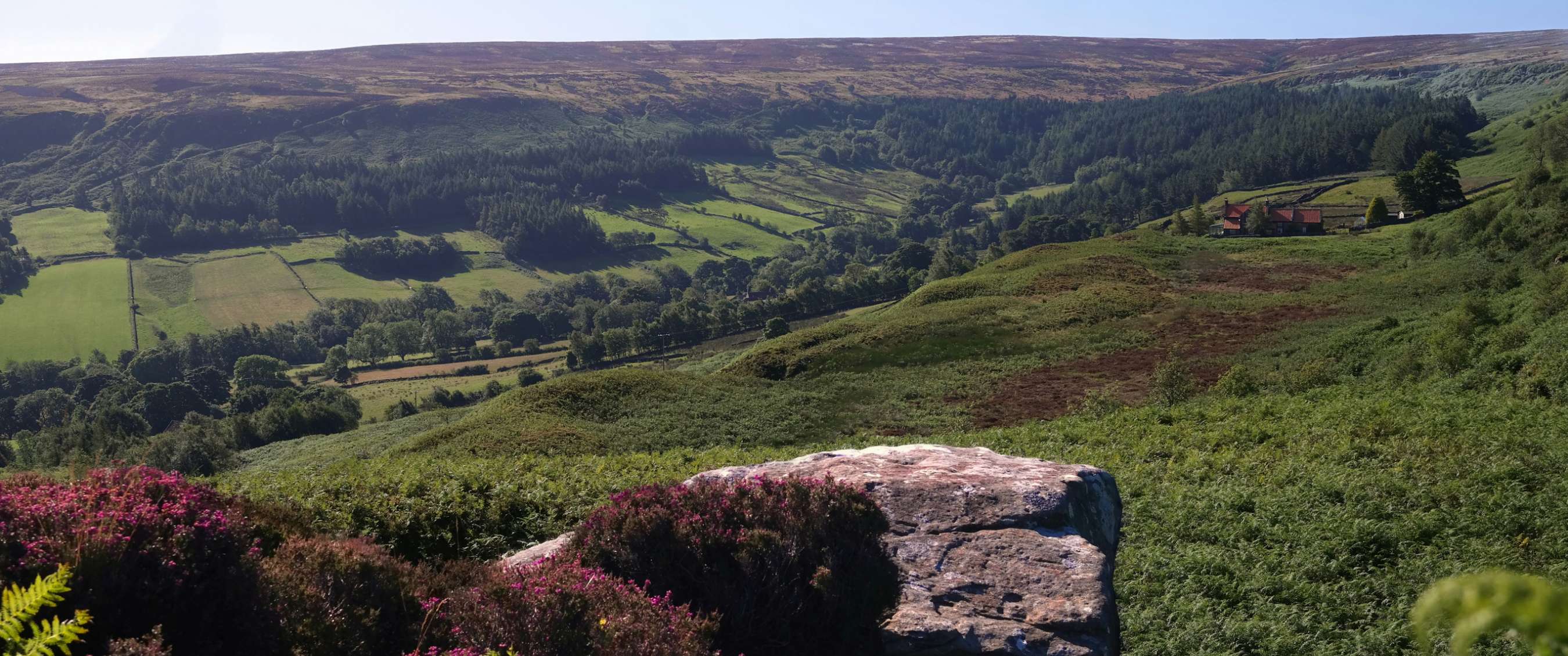 North York Moors