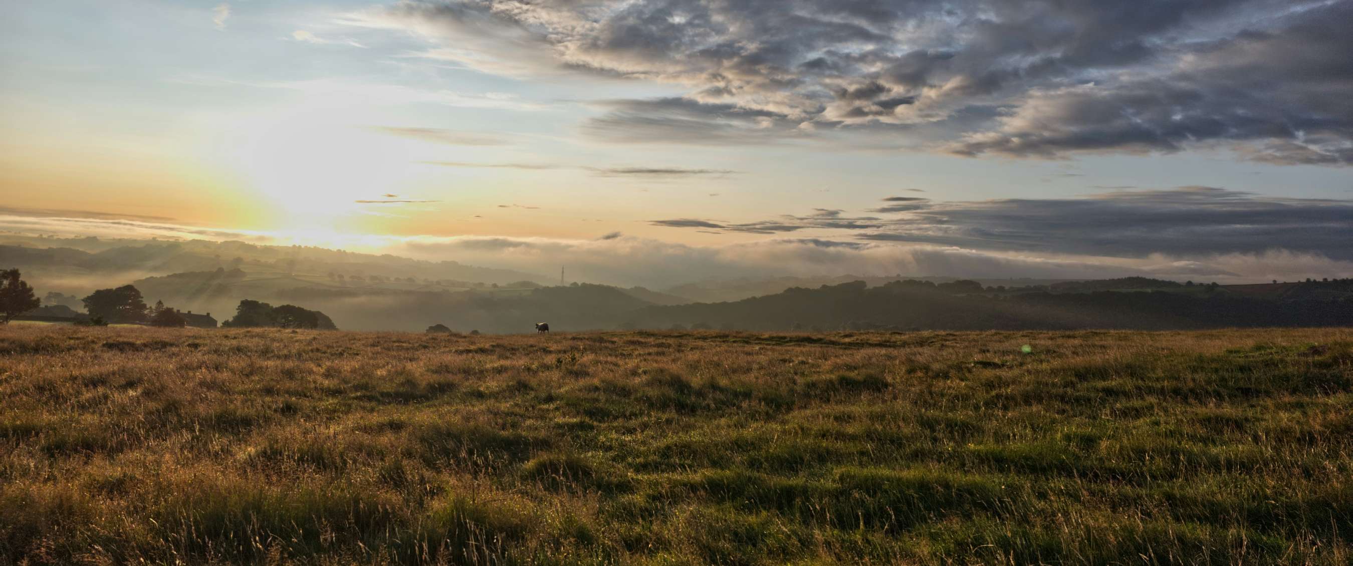 North York Moors