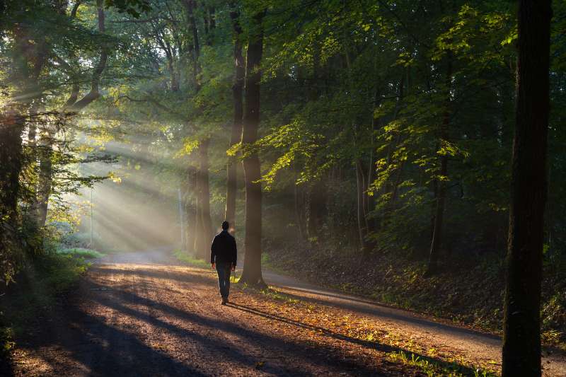 Voici comment faire de la marche une habitude quotidienne