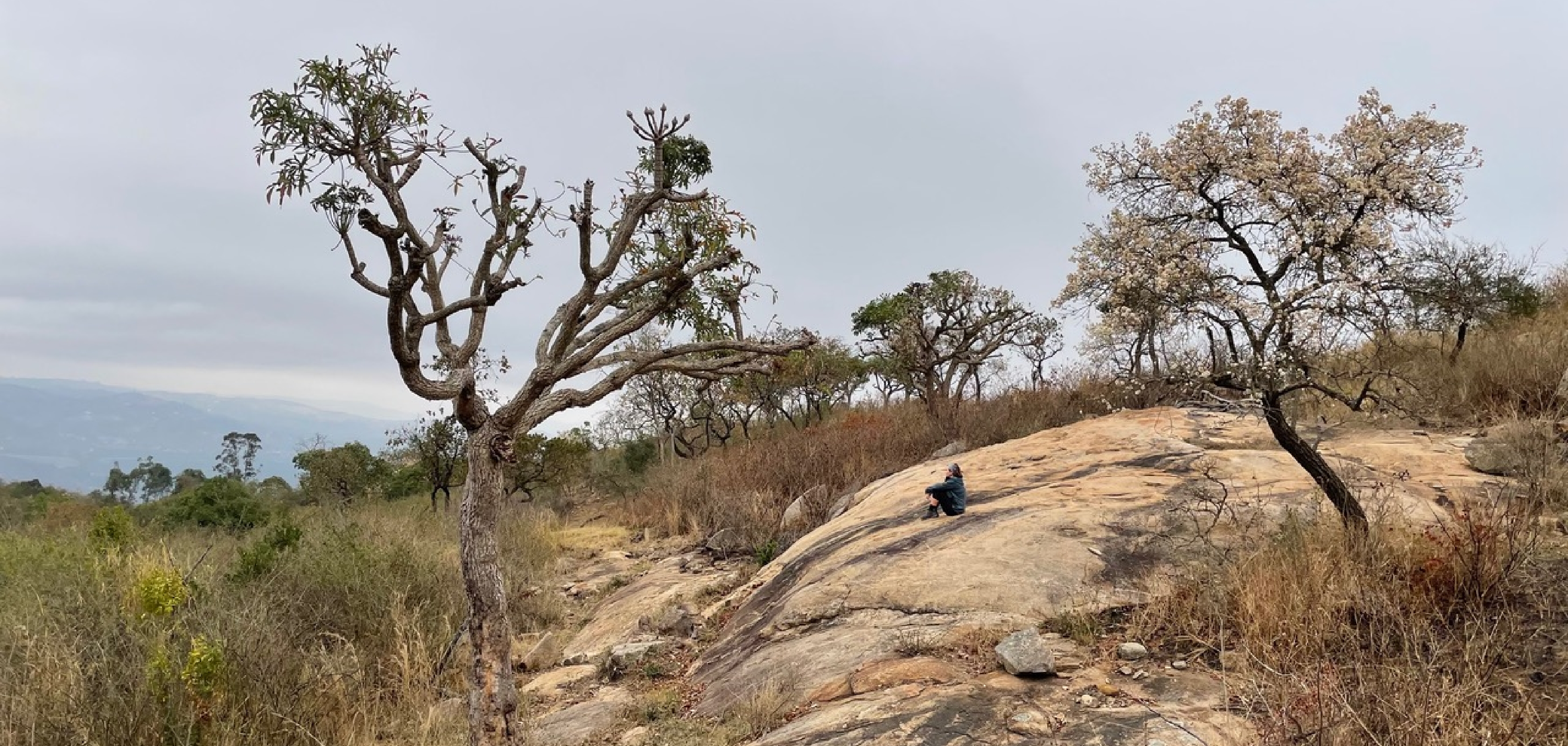 Peggy Janssens, coach de randonnée, médite dans la nature en Afrique du Sud