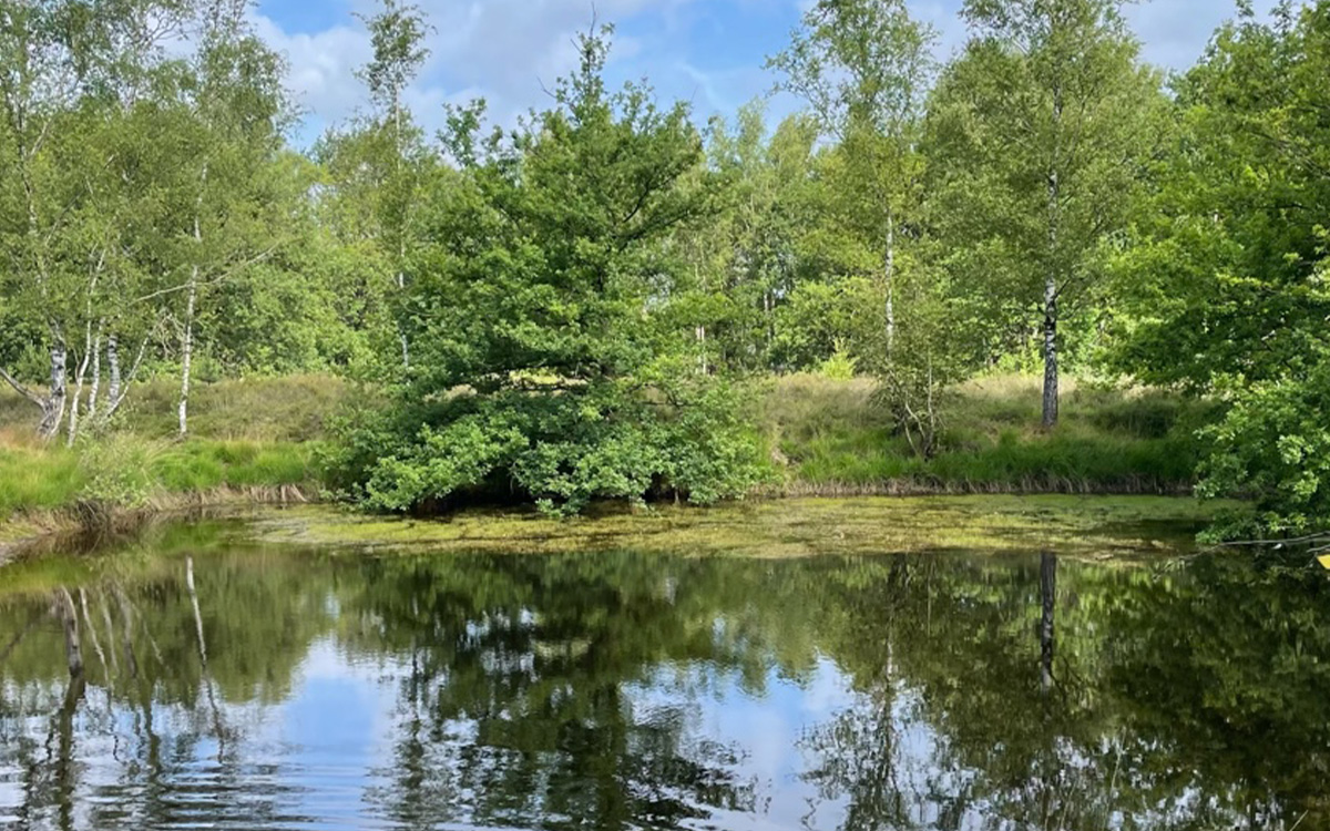 L’endroit préféré de Peggy dans la nature du domaine de Kesselse Heide