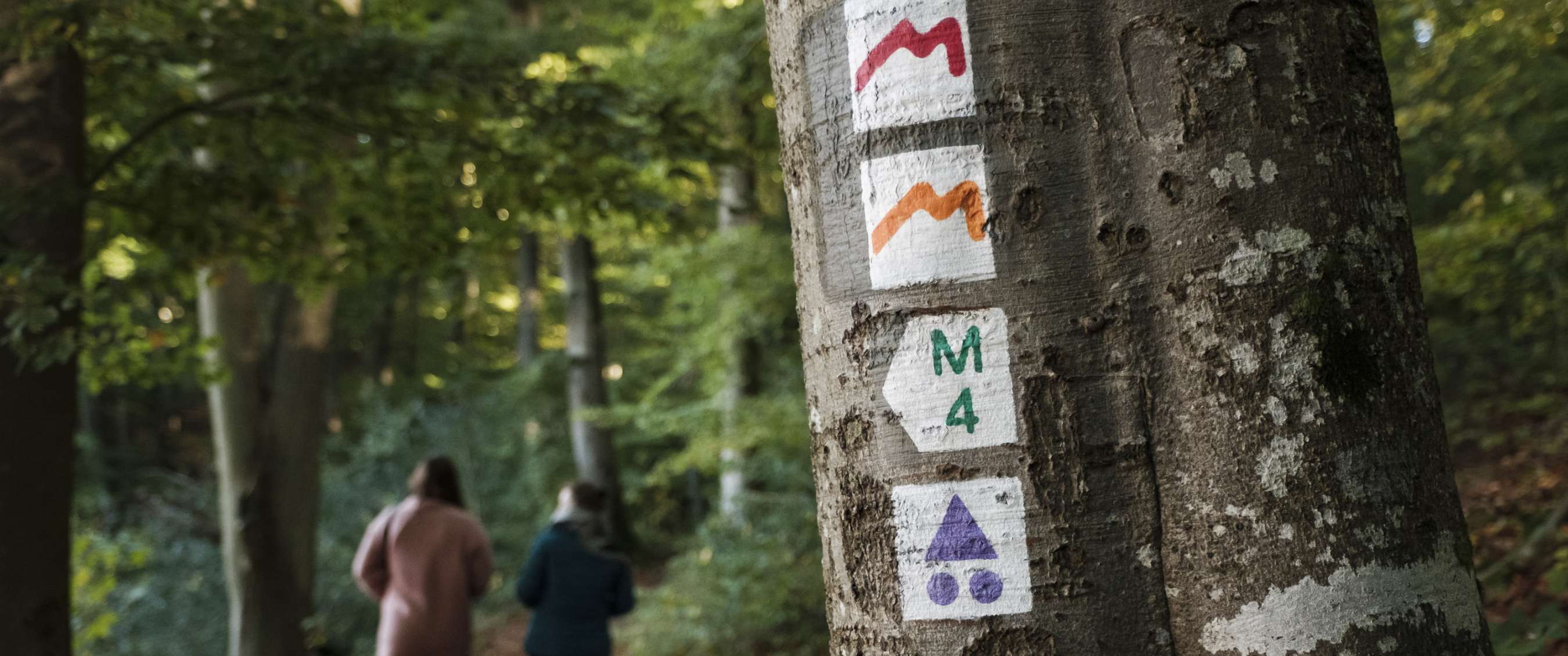 Marques routières sur le Mullerthal Trail au Luxembourg