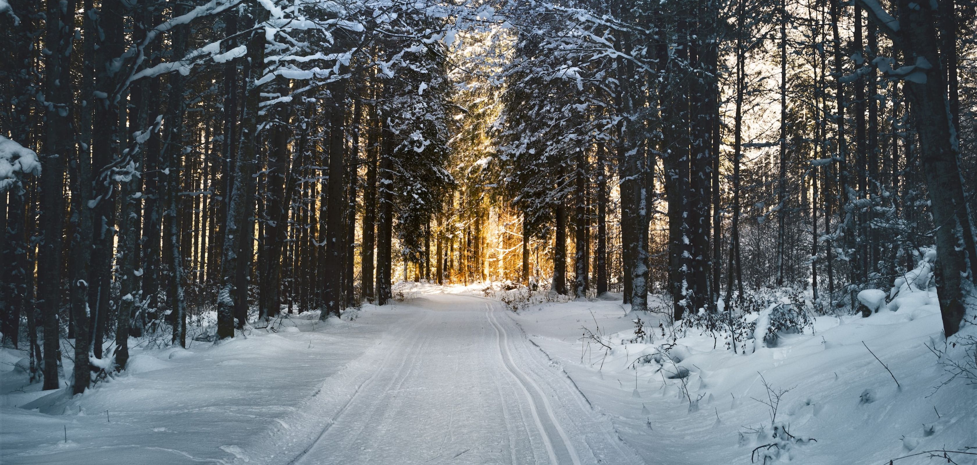 Bois des Rêves dans le Brabant wallon pour une balade hivernale