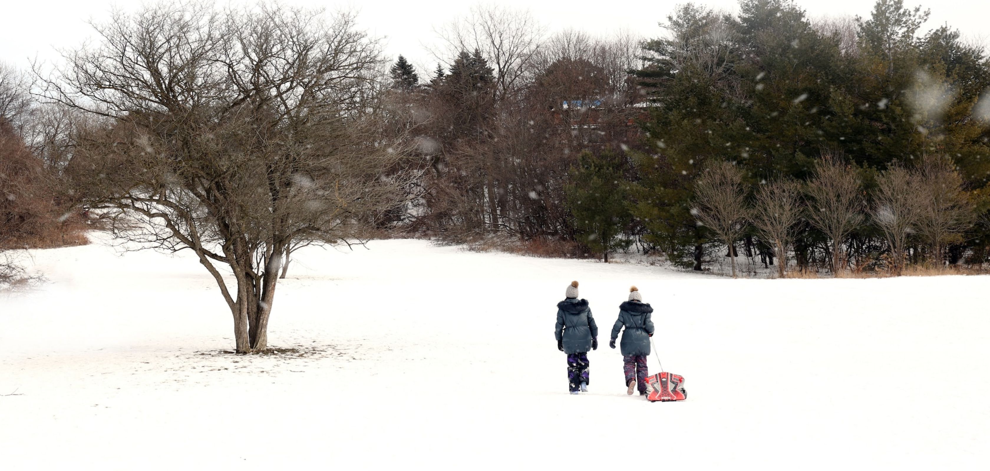 Rodelen op wintersportvakantie